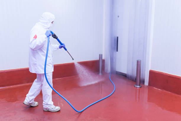 Best Winterizing Services  in Winters, CA